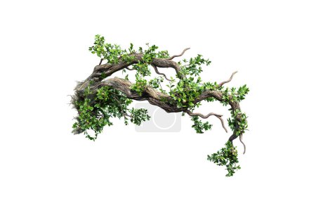 Realistic Twisted Tree Branch with Fresh Green Leaves. Vector illustration design.