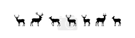 Silhouette de cerf en différentes poses sur blanc. Illustration vectorielle.