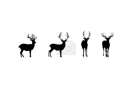 Vier Hirschsilhouetten mit Geweihen auf weißem Hintergrund. Vektor-Illustrationsdesign.