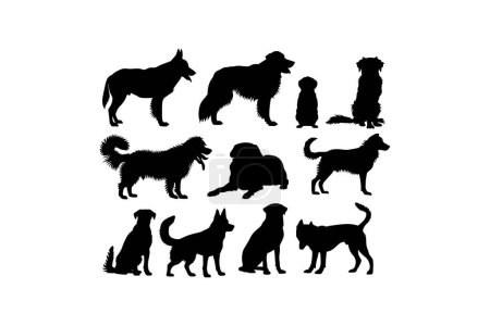 Assorted Dog Silhouettes in Various Stances. Vector illustration design.