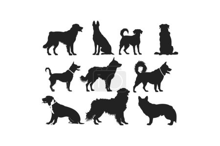 Illustration for Collection of Dog Silhouettes in Various Poses. Vector illustration design. - Royalty Free Image