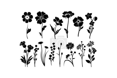 Collection of Flower Silhouettes in Black. Vector illustration design.