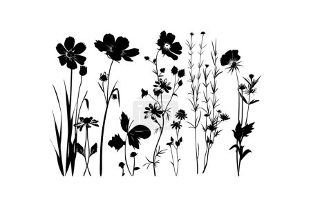 Élégante silhouette noire Fleurs sur blanc. Illustration vectorielle.