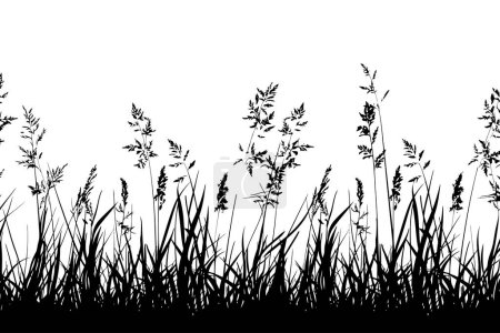 Silhouette von Gras und Wildblumen gegen Weiß. Vektor-Illustrationsdesign.