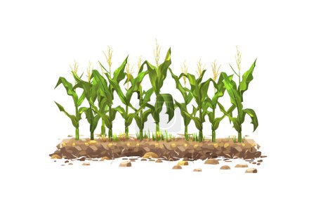Téléchargez les illustrations : Plantes de maïs qui poussent dans le sol. Illustration vectorielle. - en licence libre de droit