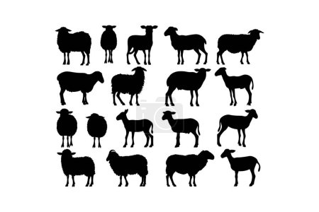 Collection Silhouette de diverses races de moutons. Illustration vectorielle.
