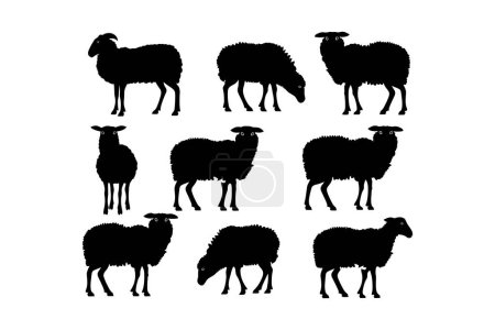 Silhouette Set of Sheep in Various Poses. Vector illustration design.