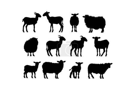 Assorted Sheep and Goat Silhouettes Collection. Vector illustration design.