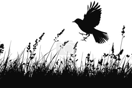 Silhouette eines Vogels, der über wildes Gras fliegt. Vektor-Illustrationsdesign.