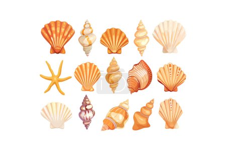Ilustración de Colección de conchas marinas coloridas y estrellas de mar. Diseño de ilustración vectorial. - Imagen libre de derechos