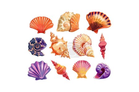 Ilustración de Conjunto de ilustración de conchas marinas artísticas coloridas. Diseño de ilustración vectorial. - Imagen libre de derechos