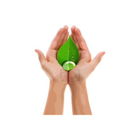 Hands Cradling Green Leaf mit Wassertropfen. Vektor-Illustrationsdesign.
