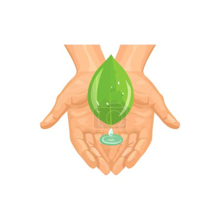 Hände, die schützend ein grünes Blatt mit Tautropfen halten. Vektor-Illustrationsdesign.