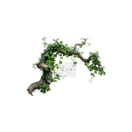 Gnarled Tree Branch with Dense Ivy Overgrowth. Vector illustration design.