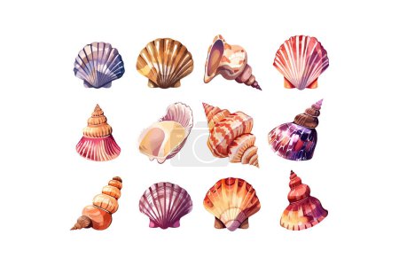 Surtido colorido de conchas marinas ilustradas. Diseño de ilustración vectorial.