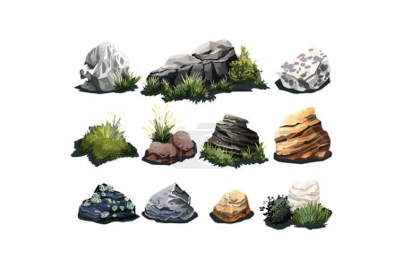Colección de varias rocas y plantas. Diseño de ilustración vectorial.