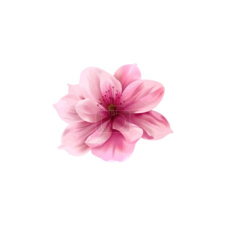 Blühende rosa Blume. Vektor-Illustrationsdesign.
