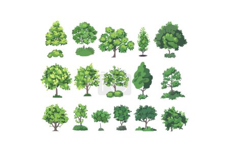 Collection of Diverse Green Trees. Vector illustration design.