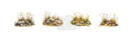 Watercolor Illustrations of Grass and Rocks. Vector illustration design.
