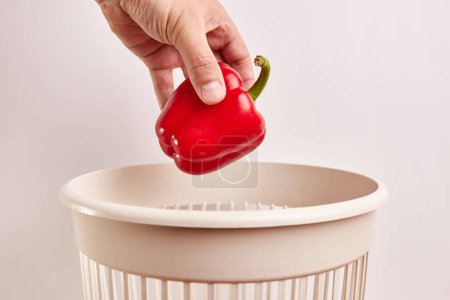 Expired sweet red pepper is thrown into the trash. Disposal and recycling of food products.
