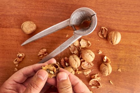 Les noix sont coupées avec un casse-noisette. Appareils de cuisine pour le travail dans la cuisine.
