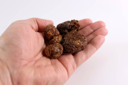 Photo for A man holds lumps of propolis in his palms. Propolis for medical procedures. - Royalty Free Image