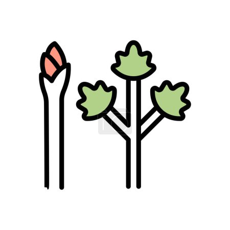 Illustration for Asparagus vector illustration icon background - Royalty Free Image