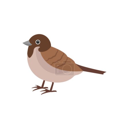Illustration for Sparrow Vector illustration on a background. Premium quality symbols. vector icons for concept and graphic design. - Royalty Free Image