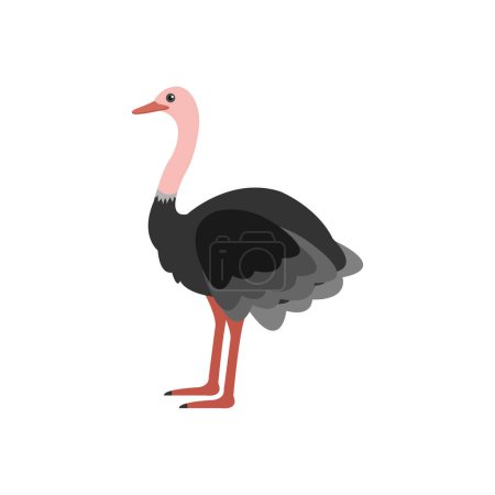 Illustration for Ostrich Vector illustration on a background. Premium quality symbols. vector icons for concept and graphic design. - Royalty Free Image