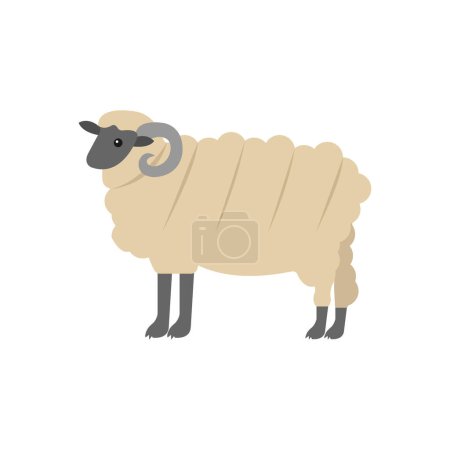 Illustration for Sheep Vector illustration on a background. Premium quality symbols. vector icons for concept and graphic design. - Royalty Free Image