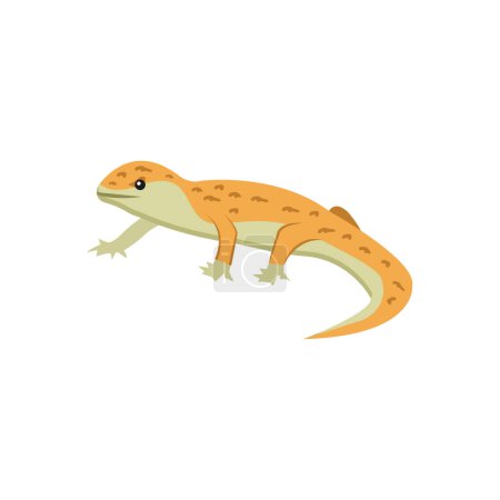 Illustration for Lizard Vector illustration on a background. Premium quality symbols. vector icons for concept and graphic design. - Royalty Free Image