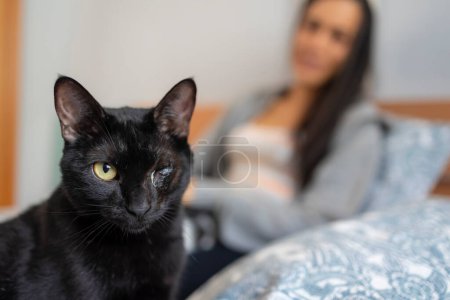 Téléchargez les photos : Un petit chat noir, amical, borgne et borgne, regarde attentivement sur le lit, tandis qu'en arrière-plan, hors foyer, est son propriétaire. - en image libre de droit