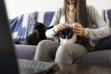 Foto de Una mujer acaricia a sus gatos, mientras ve el ordenador portátil de la PC sentado en el sofá en casa. - Imagen libre de derechos