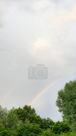 Photo for Blue sky with clouds, flying birds and a rainbow. Summer nature. Clouds at sunset. copy space - Royalty Free Image