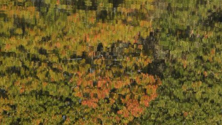       Wandteppich bunter Herbstreflexe im ruhigen Teich    