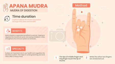 Ilustración de Explorando los beneficios, características y método de Apana Mudra Diseño de ilustración vectorial - Imagen libre de derechos