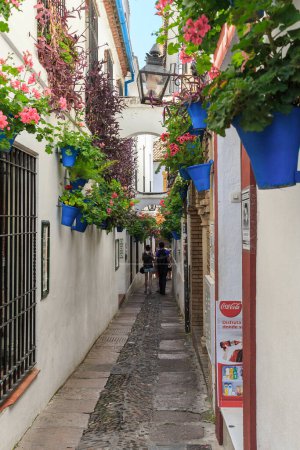 Téléchargez les photos : CORDOBA, ESPAGNE - 23 MAI 2017 : C'est l'une des ruelles étroites de l'ancien quartier juif (Juderia), traditionnellement décorée de fleurs dans des pots bleus. - en image libre de droit