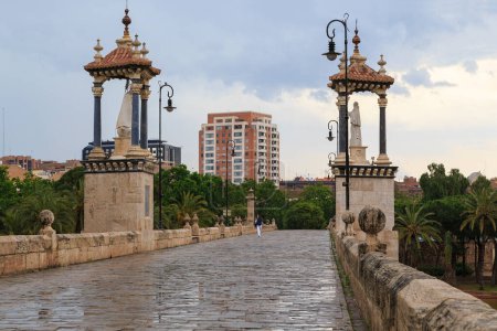 Téléchargez les photos : VALENCIA, ESPAGNE - 18 MAI 2017 : Il s'agit du pont piétonnier sur les jardins de Turia, reliant la vieille ville au quartier Cabanyal. - en image libre de droit