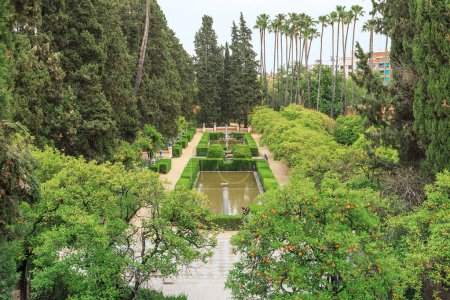 Photo for SEVILLE, SPAIN - MAY 21, 2017: This is a view of the Alcazar gardens. - Royalty Free Image