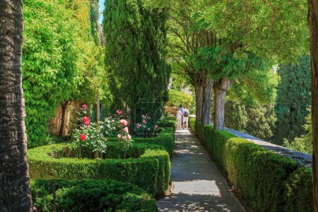 Photo for GRANADA, SPAIN - MAY 20, 2017: This is one of the alleys in the Advares Gardens in the Alhambra. - Royalty Free Image