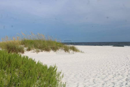 Téléchargez les photos : Vue de la plage de Pensacola à Pensacola en Floride. - en image libre de droit