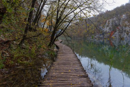 Foto de Paisaje de otoño. Cascadas, ríos y lagos en cascadas en Croacia. Parque Nacional de los Lagos de Plitvice en azul a verde, gris o azul. Senderos entre los lagos - Imagen libre de derechos