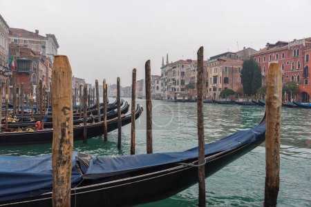 Téléchargez les photos : Grand Canal est le lieu touristique le plus populaire. Venise, Italie avec canaux, gondoles, ponts, bâtiments - en image libre de droit
