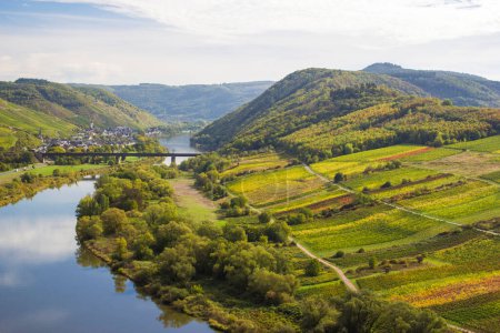 Photo for Moselle River in Germany, view of Calmont village and vineyards in the Mosel river valley, Germany - Royalty Free Image