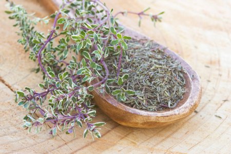 Photo for Freh and dried thyme on wooden background - Royalty Free Image