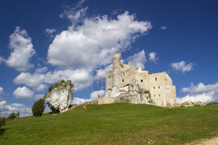 Téléchargez les photos : Ruines du château médiéval Mirow - Eagle's Nest Trail à Bobolice en Pologne - en image libre de droit