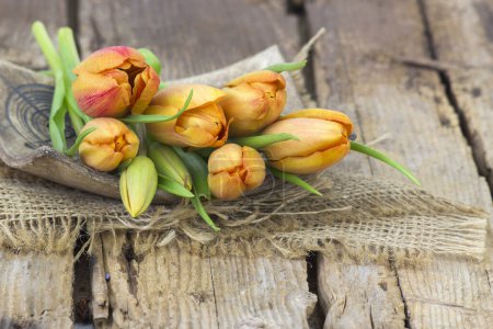 Téléchargez les photos : Tulipes orange sur fond bois - gros plan - en image libre de droit