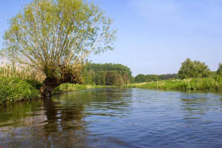 Téléchargez les photos : Rivière Niers, région du Bas-Rhin, Allemagne - en image libre de droit