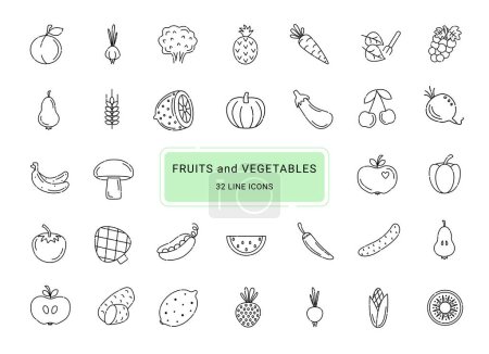 Ilustración de Frutas y verduras, 32 iconos vectoriales de línea - Imagen libre de derechos