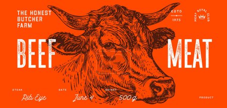 Illustration for Cow, bull, beef head, meat tag label. Template Meat Tag Label. Vintage print, tag, label pig sketch ink pencil drawing. Butchery cow, bull, beef head meat shop, text, typography. Vector Illustration - Royalty Free Image